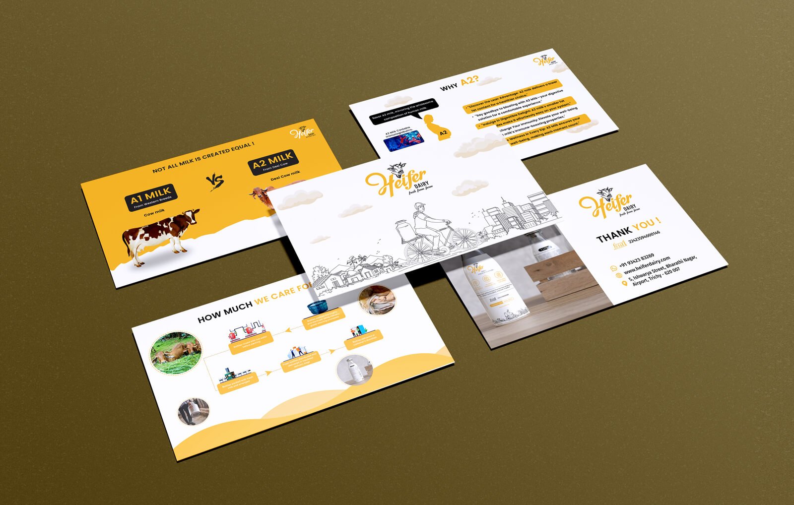Business marketing materials including brochure, flyer, and promotional card layout.